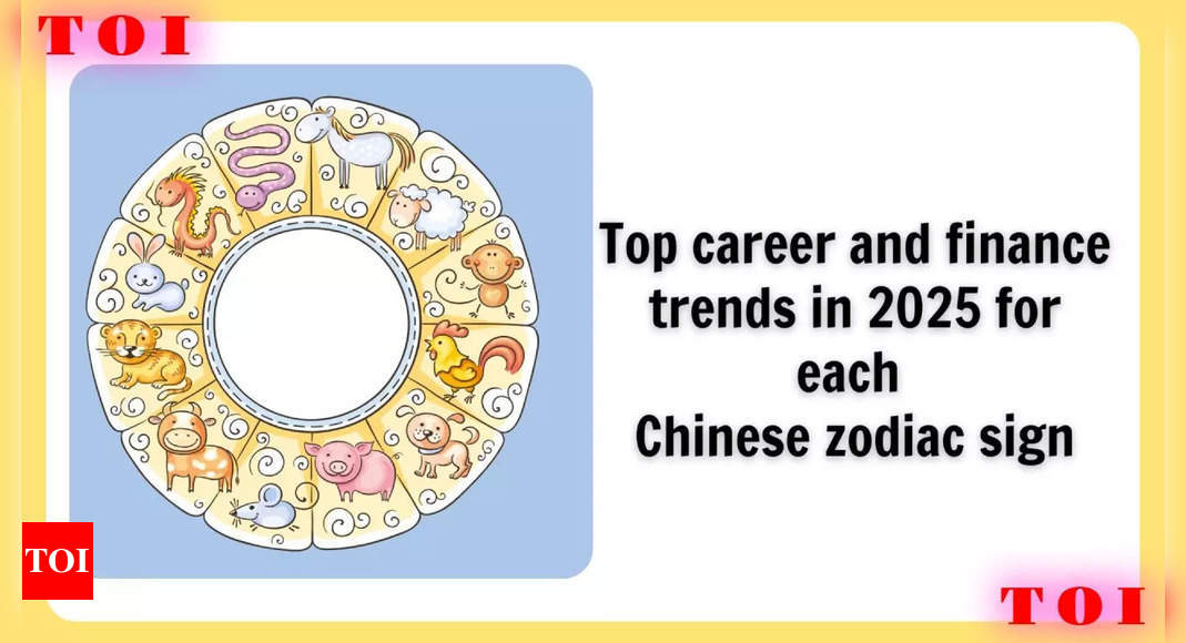 Top career and finance trends in 2025 for each Chinese zodiac sign – The Times of India