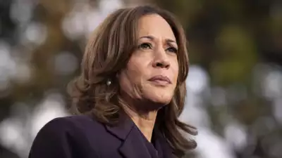 Did Kamala Harris post about an amendment that doesn't exist?