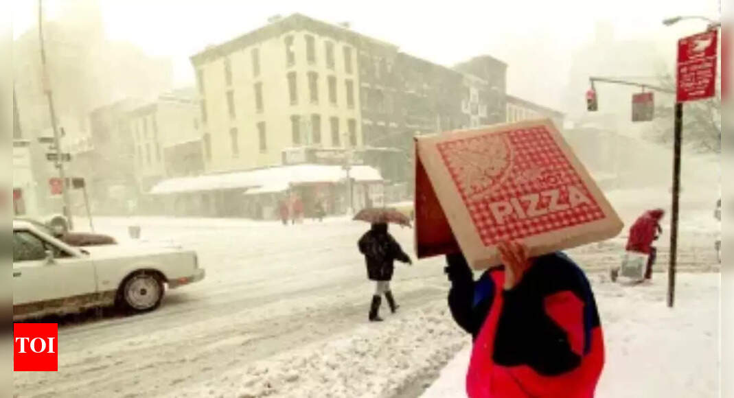 Pizza driver delivers pizza in snowstorm and gets $2 tip, but then his fate took an unexpected turn