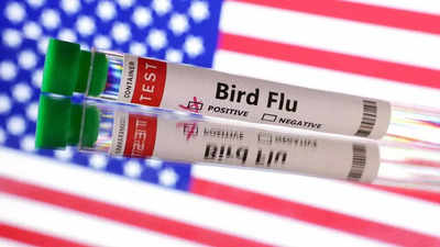 New bird flu vaccine development gathers pace amid fears of pandemic