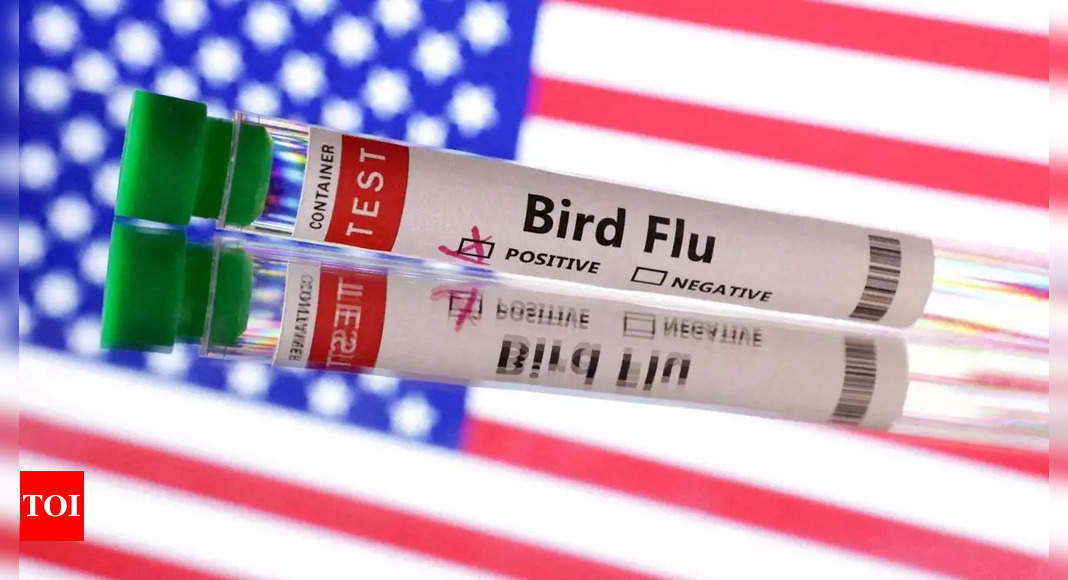 New bird flu vaccine development gathers pace amid fears of pandemic