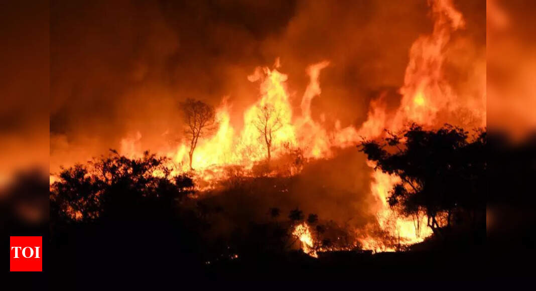 Forest fires in India: AP tops in total burnt area | Vijayawada News ...