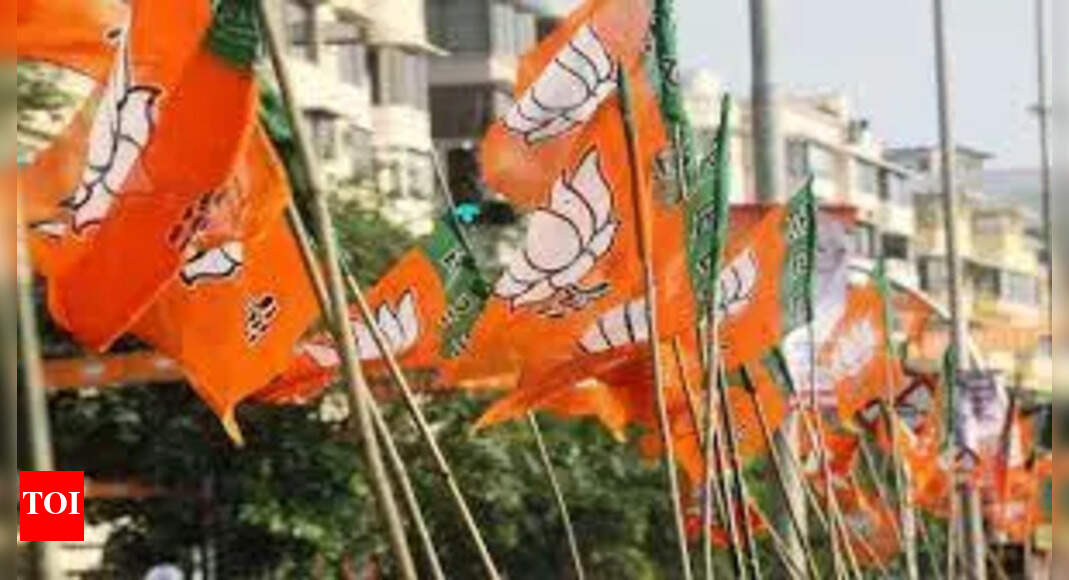 Upset BJP functionaries quit party | Madurai News - The Times of India