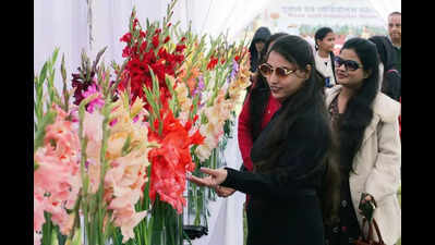 NBRI flower show opens with blooming roses, gladioli
