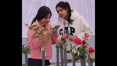 NBRI flower show opens with blooming roses, gladioli