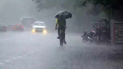 Bengaluru wakes up to unseasonal rain; IMD predicts more showers across Karnataka