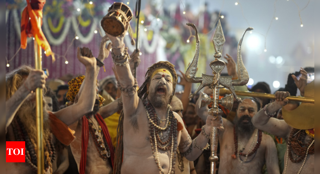 Making of Naga sadhu: Registration, interviews...like any other recruitment