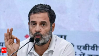 FIR filed against Rahul Gandhi for 'fighting Indian state' remark