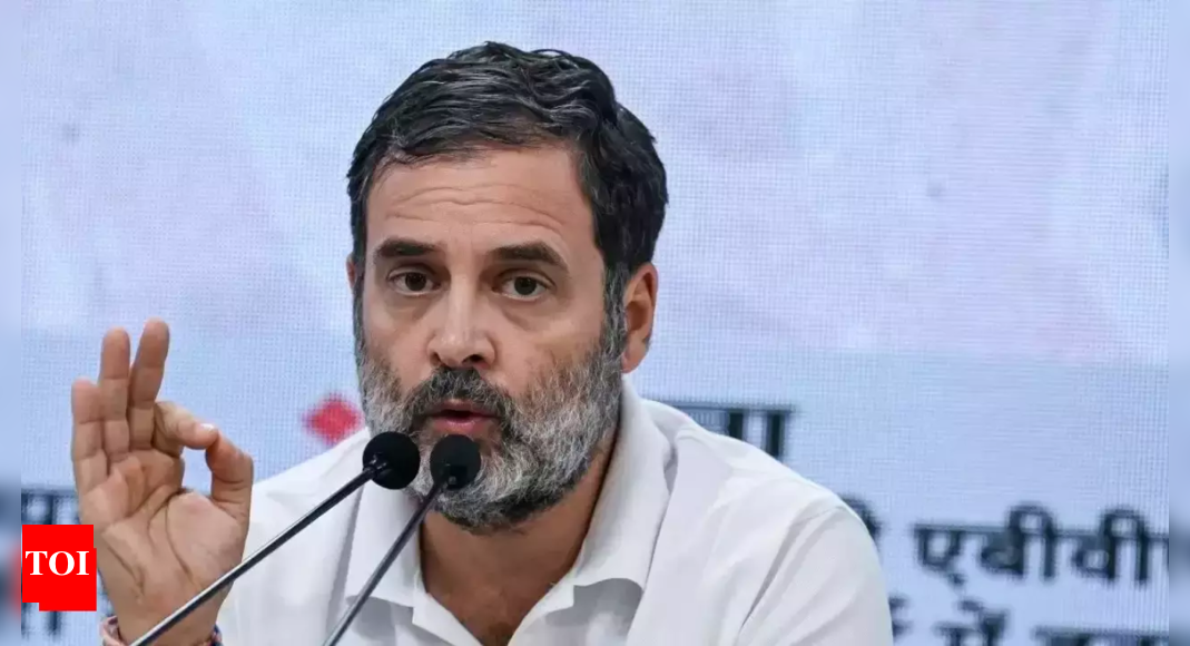 FIR filed against Rahul Gandhi for 'fighting Indian state' remark