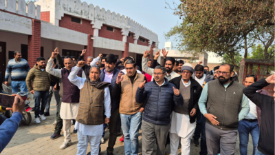 Haryana patwaris protest against corruption list: Legal action and black armbands