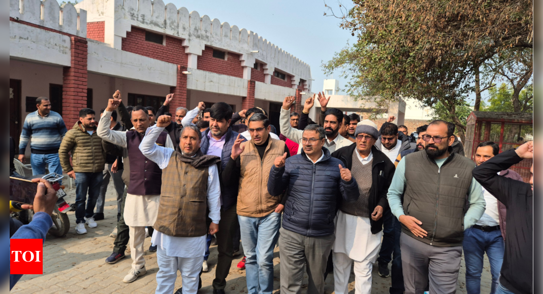 Haryana patwaris protest against corruption list: Legal action and black armbands