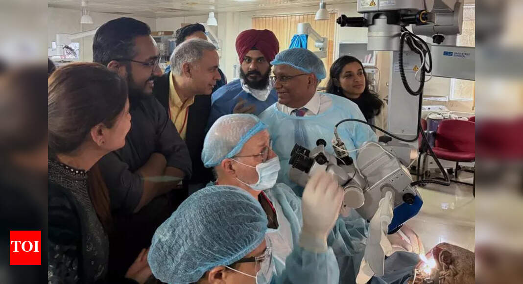Inaugural auditory brainstem implant workshop concludes with ...