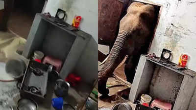 Watch: Tusker tries to enter house in Coimbatore, takes away bag full of rice