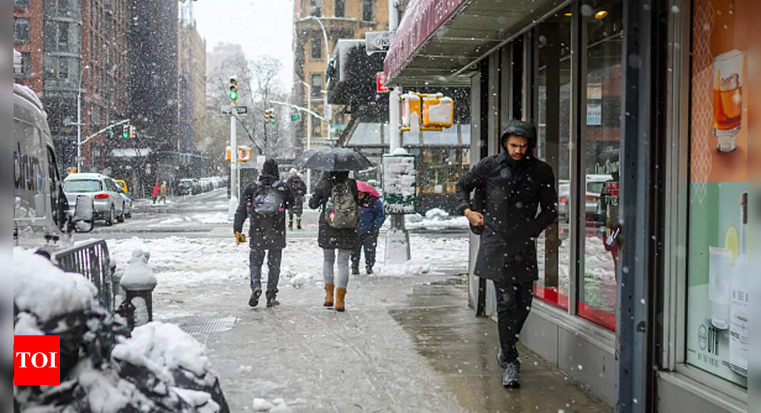 Central Alabama braces for winter storm chaos: Schools to shut down, virtual classes to begin - The Times of India