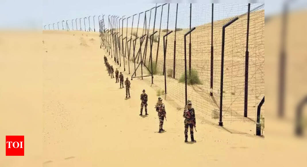 BSF strengthens security ahead of R-Day in state | Jaipur News - The ...