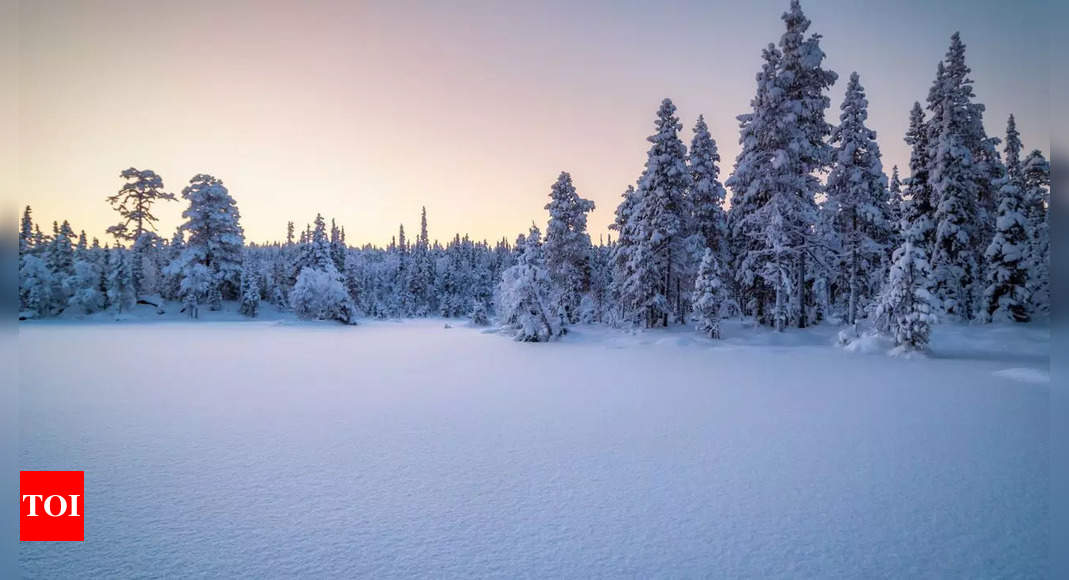 What led this man to carve a path through deep snow