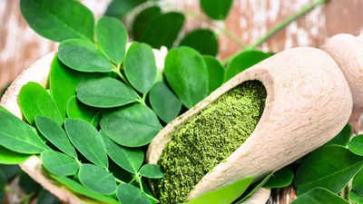 Simple ways to add moringa powder to the daily diet