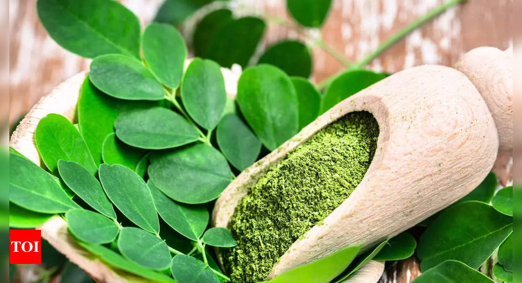 Simple ways to add moringa powder to the daily diet