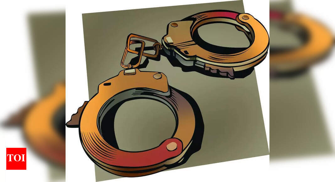 Businessman held for real estate fraud | Delhi News - The Times of India