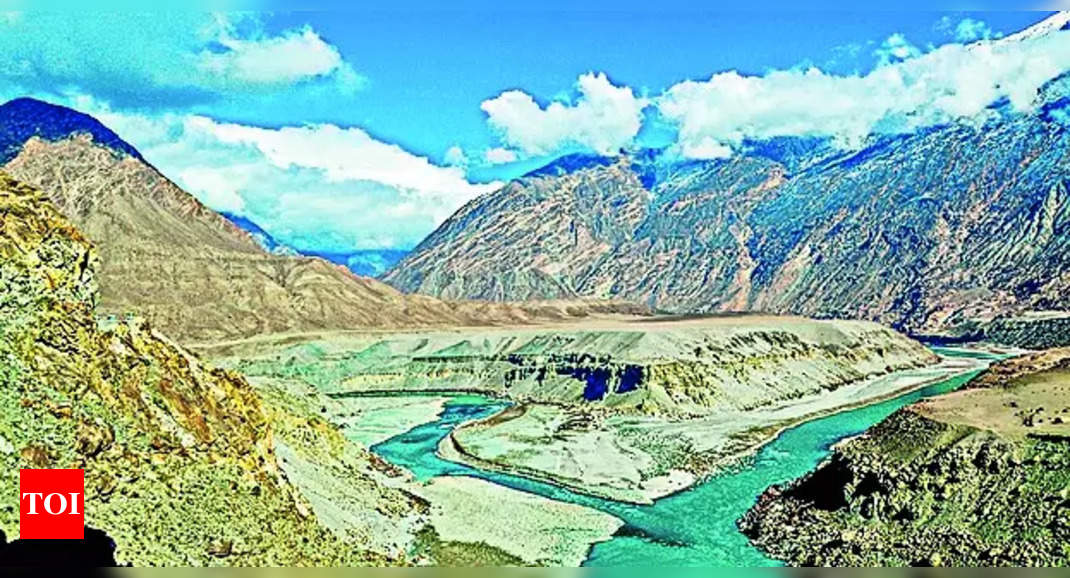 World Bank expert vindicated our stand on Indus pact: India