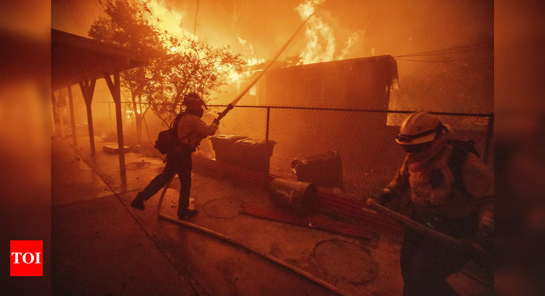 Brazil saw 79% jump in area burned by fires in 2024: monitor