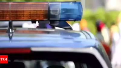 Jewellery heist in Delhi: Businessman targeted in theft, 2 men smash car window, steal bag 'worth crores'