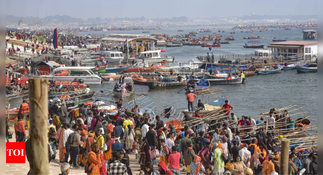 Journalist among 2 held for 'offensive' comments on Maha Kumbh, Hindu deities