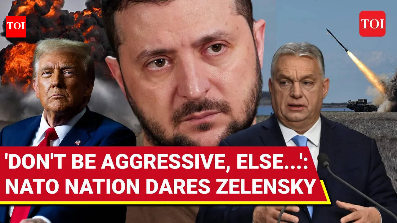 'Stop Or Face...': Another Shock To Zelensky As Trump Rule Begins; NATO ...