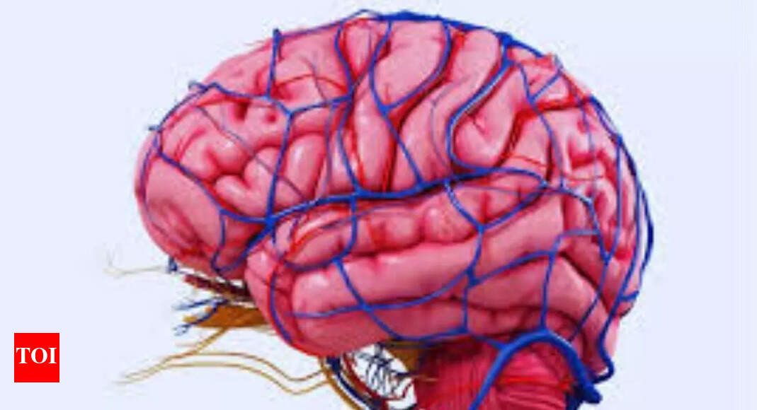 How Quickly The Brain Processes Information: How fast is the brain ...