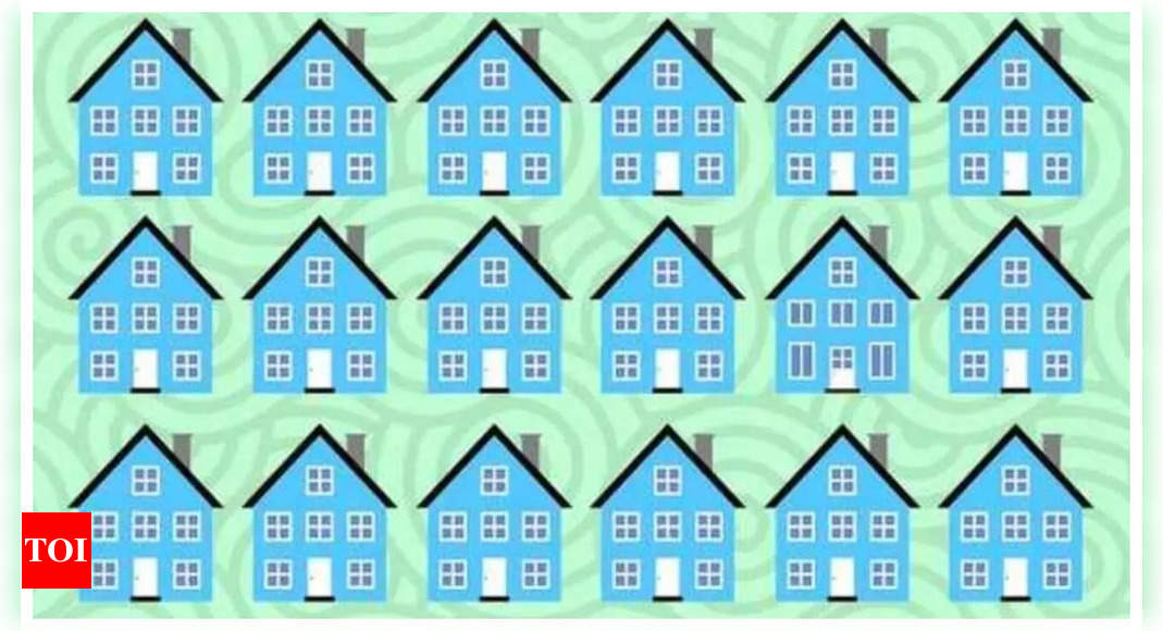 Optical illusions: Only a genius can spot the odd house in just 10 seconds