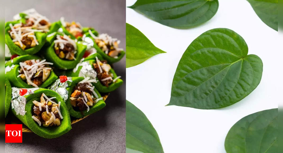 Why chewing betel leaf is the best solution for winter related issues