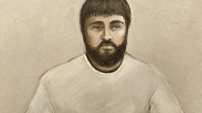 A man pleads guilty to the murder of mother and 2 daughters in crossbow attack near London