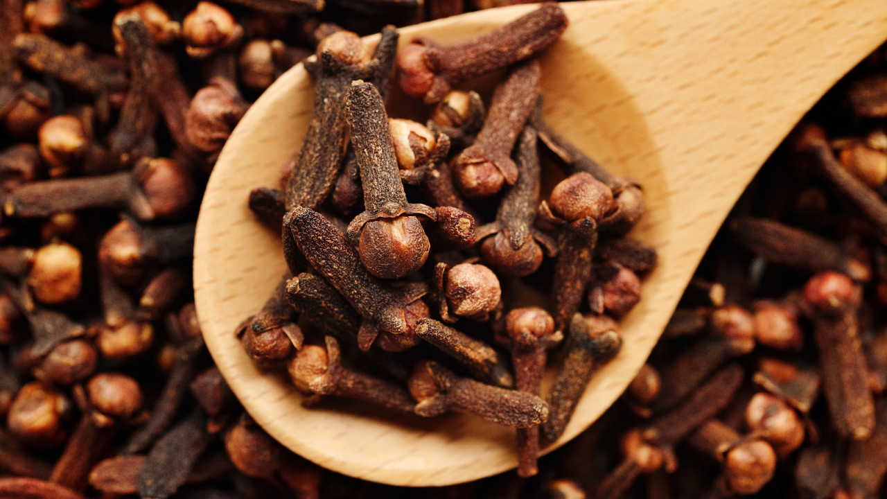 Health benefits of clove: What happens to your body if you chew a clove  daily | - The Times of India