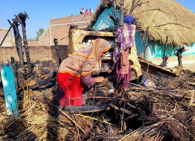 Over 100 sheep charred to death in J&K’s Samba