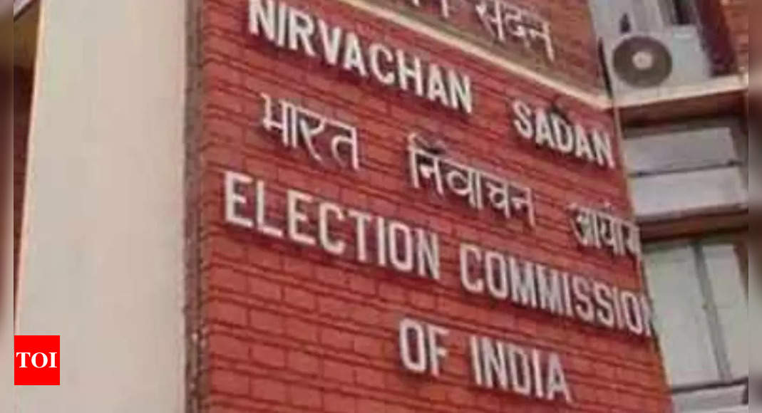 Young voters up 0.2cr but total rises by 2.2 crore: Election commission