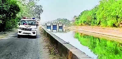 Man jumps into Narmada canal to save pet dog, drowns