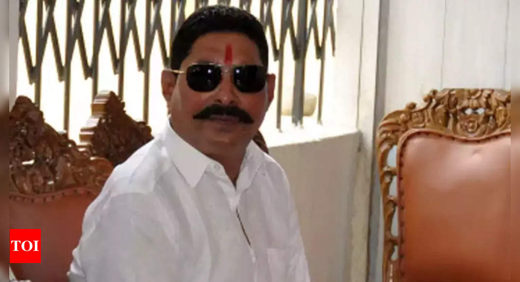 'Attackers act like police chief, cops do nothing : Ex MLA Anant Singh accuses police of lawlessness after murderous attack in Bihar