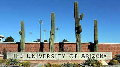 University of Arizona lost $240 million: Here is how