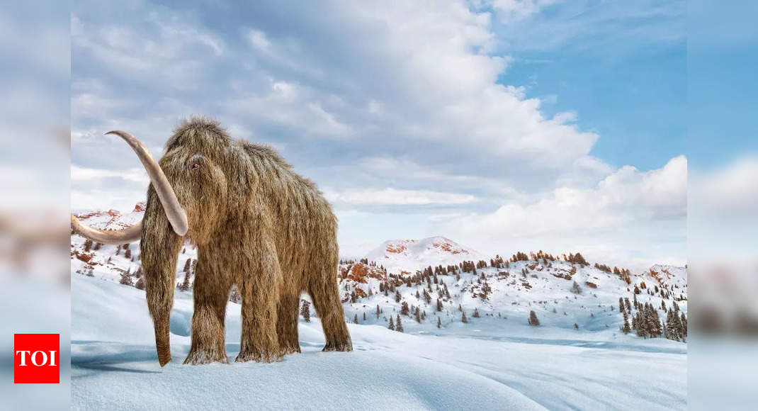 4000 years old Woolly Mammoth to return to the Earth by 2028?