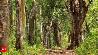 Forest department plans boundary revision for Rajasthan's Nahargarh Wildlife Sanctuary