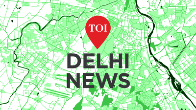 Global check-in software outage hits Delhi airport for nearly 40 min