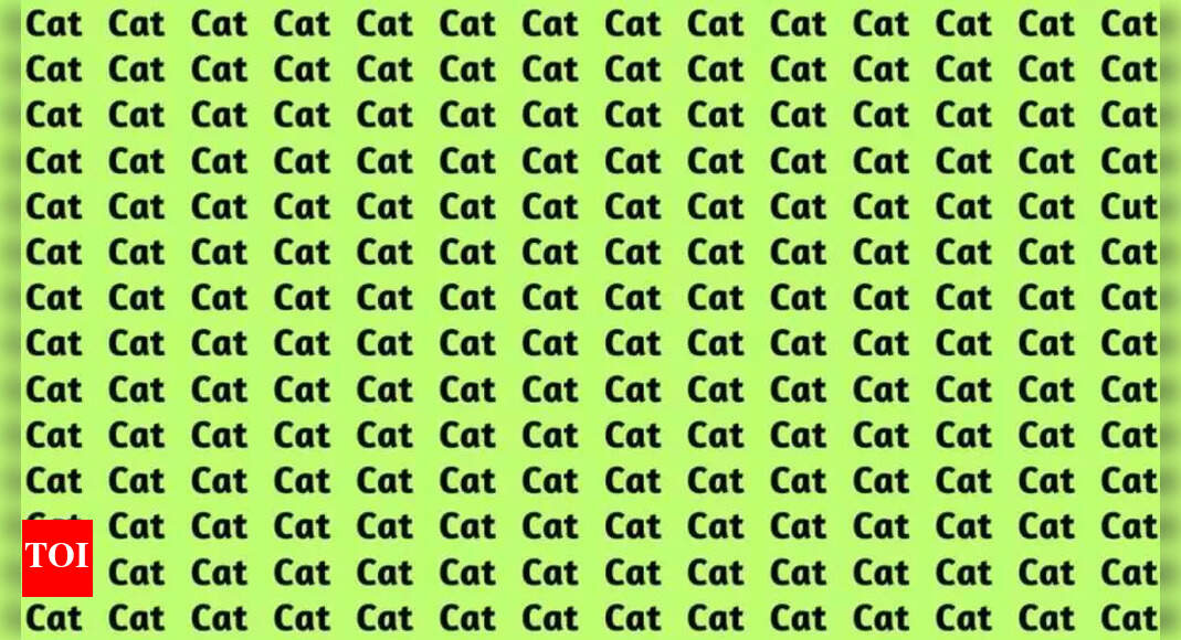 optical-illusion-you-have-above-average-iq-if-you-can-spot-cut-in-8