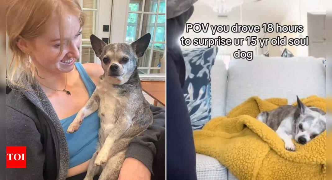 18-hours-drive to surprise her 15-year-old dog! Woman shares the story of their ‘soul’ connection!