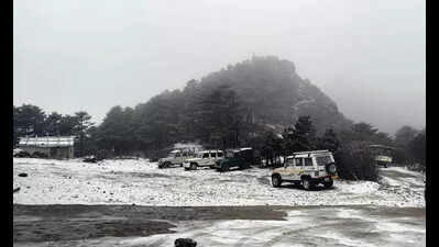 Govt suspends collecting forest tourism entry fee after CM prod