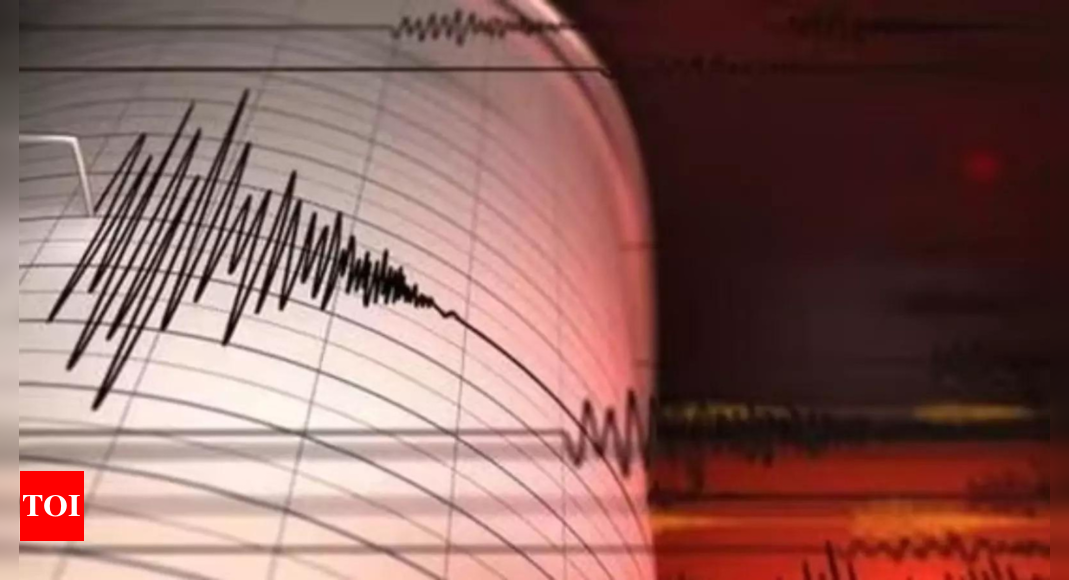 A 4.8 magnitude earthquake hits Myanmar