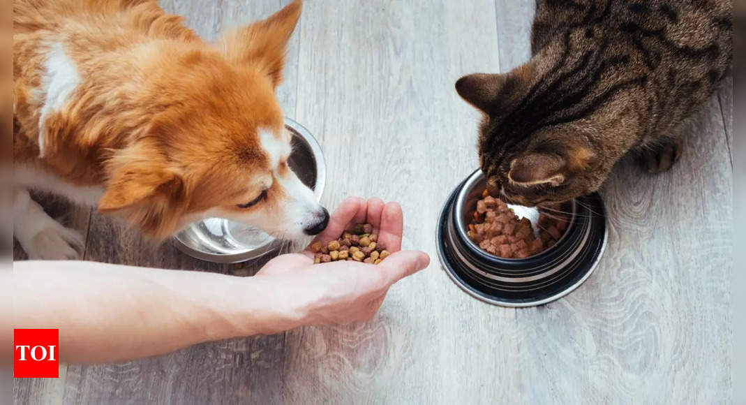 FDA asks pet food manufacturers to adhere to safety plans in the wake of H5N1