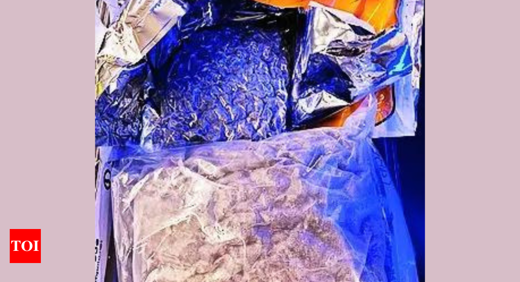 DRI arrests two with hydroponic weed valued Rs 3.7 crore at Jaipur airport