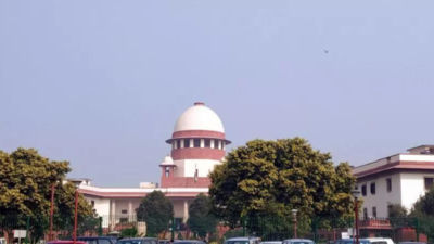 SC says fake advocates a serious issue, seeks status of verification in 8 weeks