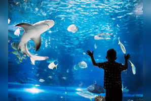 7 most spectacular aquariums you need to visit