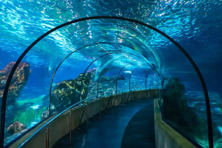 Osaka Aquarium Kaiyukan, Japan